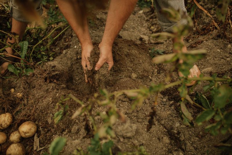 HightowerWedding-0491