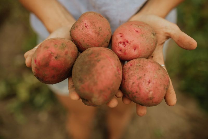 HightowerWedding-0508