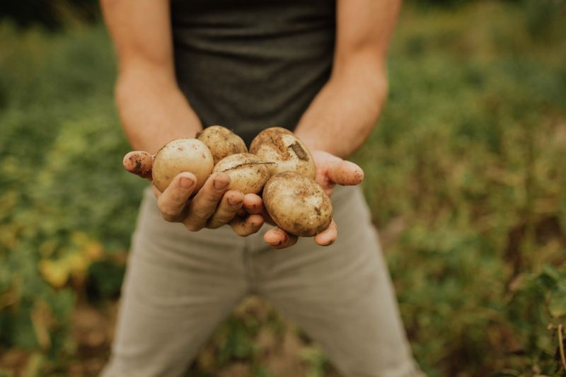 HightowerWedding-0485